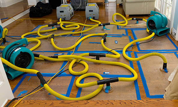 Professional Sewage Cleanup technician working in Cherryville, PA